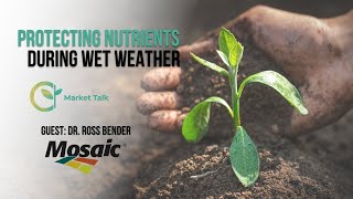 Protecting Nutrients During Wet Weather