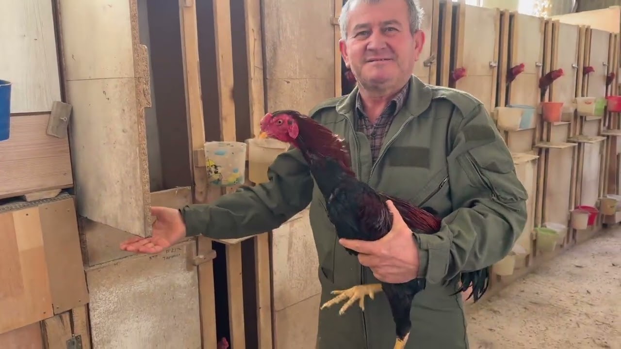 İŞTE KALİTE İŞTE TELLİ RAMAZAN YALÇIN