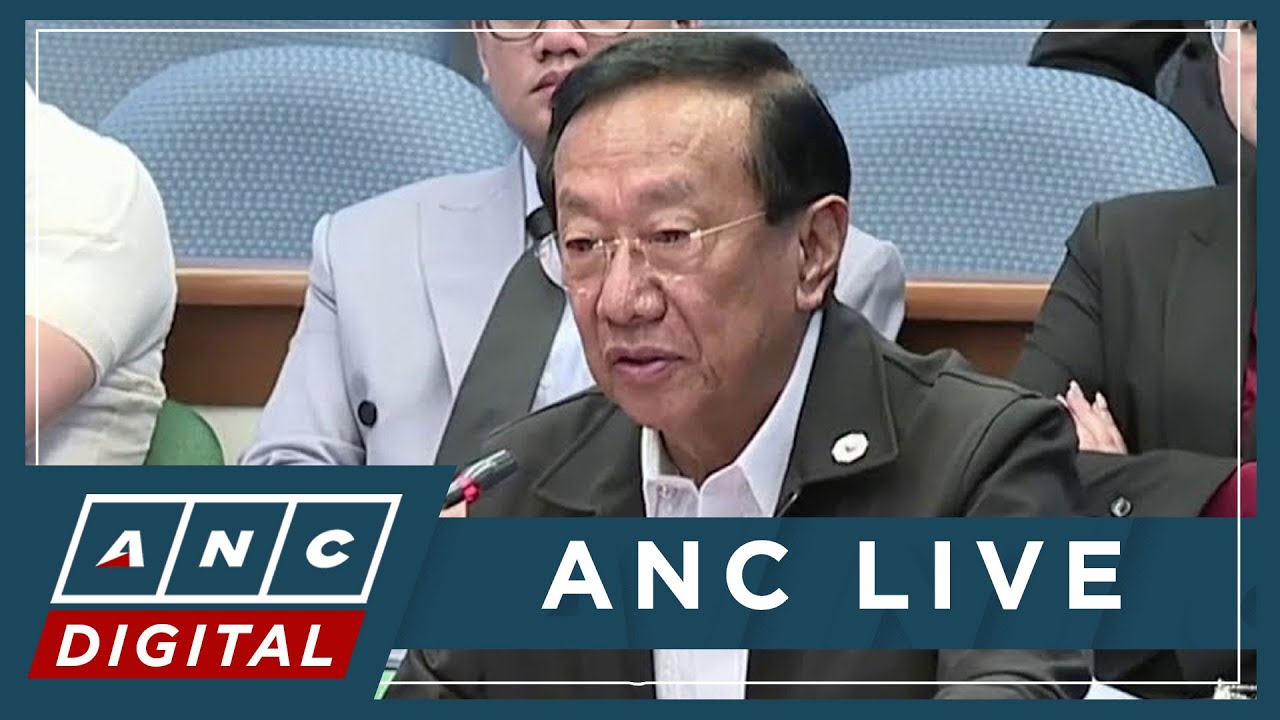 Bonoan: 'Mind-boggling' to me when I heard of 421 'ghost' flood projects | ANC