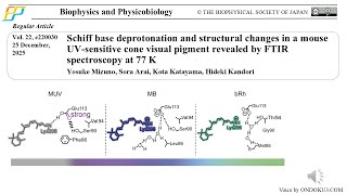 Yosuke Mizuno Et Al. Publish An Article In Biophysics And Physicobiology On 25 December, 2025.