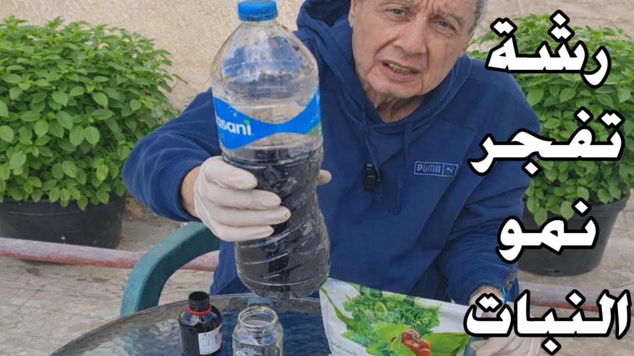 اقوى رشة طبيعية لتكثيف المجموع الخضرى للنبات