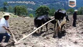 Documental: Mekatech en la Agricultura