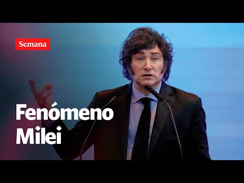¿Qué piensan los argentinos sobre el presidente JAVIER MILEI?