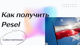 Что такое номер Pesel в Польше. Как получить Песель Самостоятельно