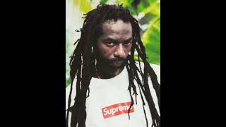 buju banton - Come Inna The Dance