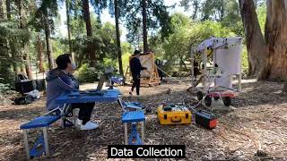 Collecting Data on Free-Ranging Squirrels