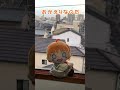 【Aqours】帰ったら大変なことに...