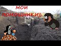 РОЮ КАК КРОТ)) ВОЗМОЖНО ЭТО БЫЛ СКЛАД РЖД! Коп металлолома!