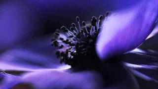 Pyotr Il'yich Tchaikovsky : Morceaux (6) for Piano, Op. 19 Nocturne in C Sharp Minor