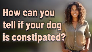 How can you tell if your dog is constipated?