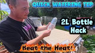 Quick Watering Tip for Potted Plants & Trees | Bottle Hack