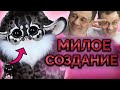 ПОЧЕМУ Я НЕ СТАЛ ГРУБИТЬ КОЛЛЕКТОРШЕ? | Как не платить кредит | Кузнецов | Аллиам