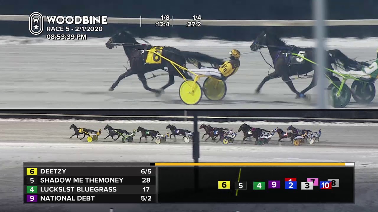 Woodbine, Mohawk Park, February 1, 2020 Race 5 - YouTube