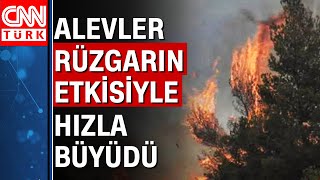 Yunanistanın Başkenti Atinada Orman Yangını Çıktı