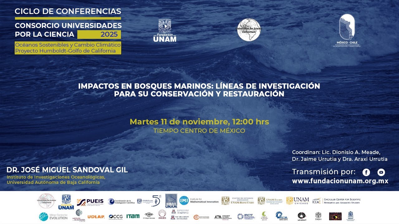 IMPACTOS EN BOSQUES MARINOS: LÍNEAS DE INVESTIGACIÓN PARA SU CONSERVACIÓN Y RESTAURACIÓN