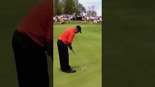 Craziest Golf Shot of all time! 😱 #shorts #golf