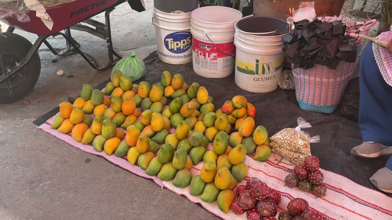 PASEANDO POR EL MERCADO Y CENTRO DE CHIAUTLA DE TAPIA PUEBLA
