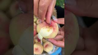 Agriculture Village Fresh Fruit #Viral #Fruit #Shorts #1026