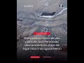 Lobo marino de Juan Fernández descansa en una playa de Algarrobo