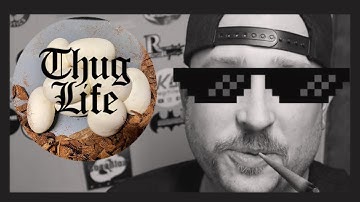 How to Setup an Egg Box Like an OG!