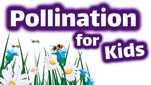 What is pollination in a sentence?