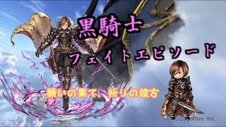 グラブル ストーリーネタバレあり 黒騎士 Lv45時フェイトエピソード 願いの果て 祈りの彼方 グランブルーファンタジー دیدئو Dideo