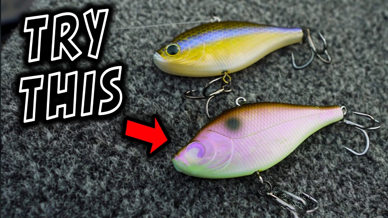 What I WISH Someone Would've Told me about Lipless CRANKBAIT Fishing Part 2