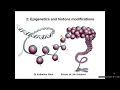Introduction to epigenetics and histone modifications