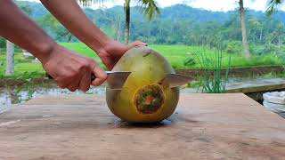 Fresh coconut slicing technique with beautiful views #fruitcutting #cuttingskills #satisfying