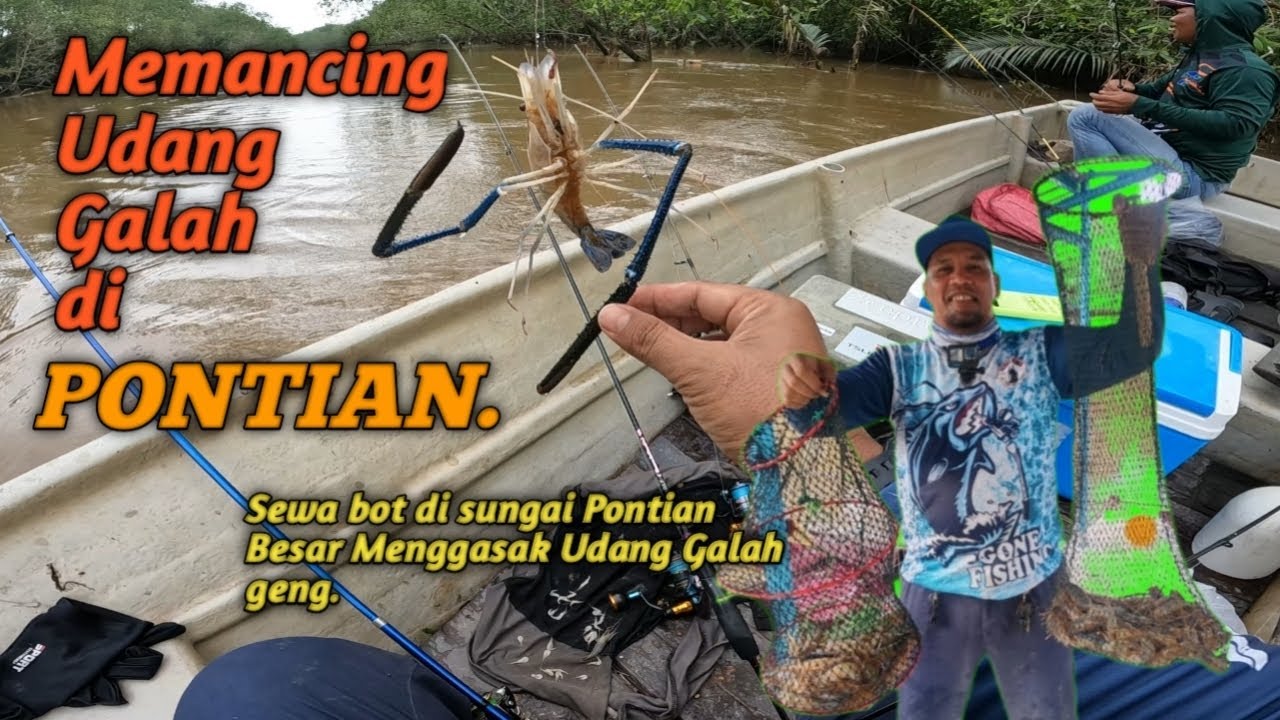 MEMANCING UDANG GALAH DI SUNGAI PONTIAN BESAR. Sewa Bot Apiq di Parit Baru.