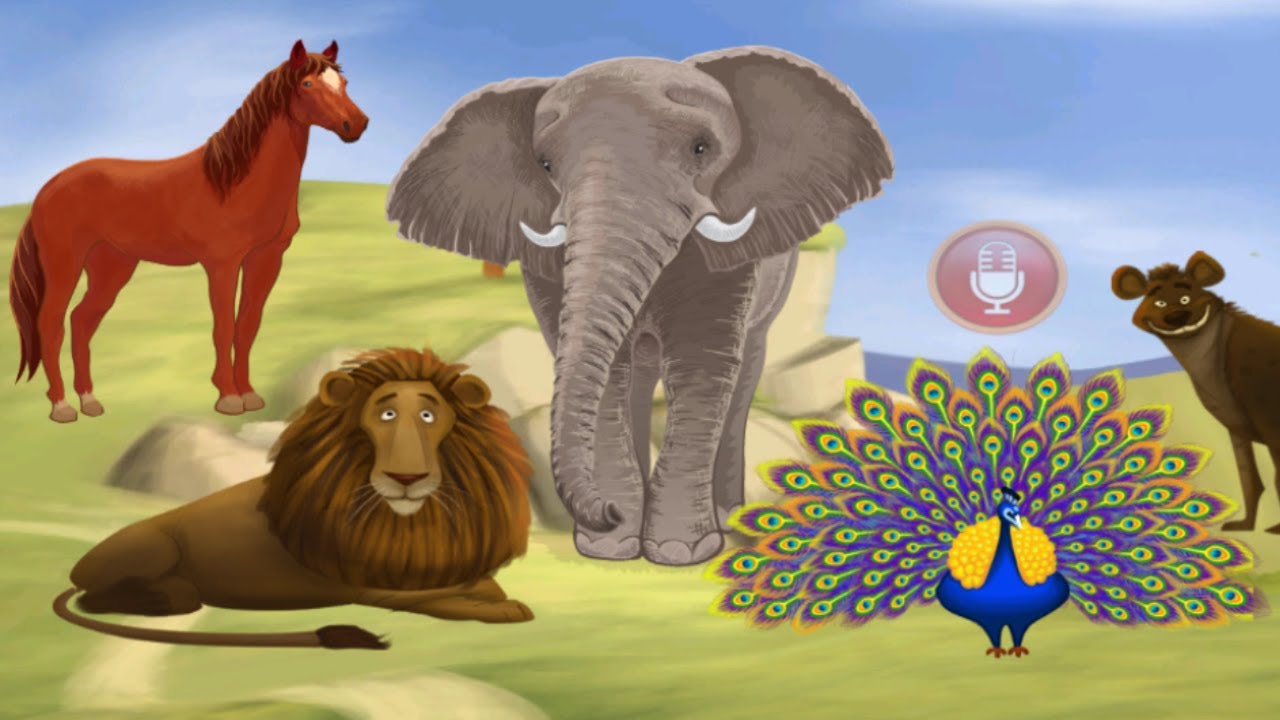 Kids box wild animals. Wild animals for children. Learn animal Sounds. Корова Лев.