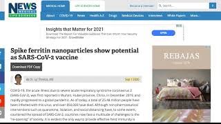 MAGNETOGENETICS HELIOBACTER PYLORI FERRITIN BACTERIA NANOTECHNOLOGY