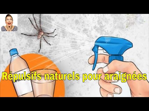 Vidéo: Huiles Essentielles Comme Répulsif Contre Les Araignées