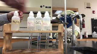 Unit 2: Lab Alkaline Precipitation