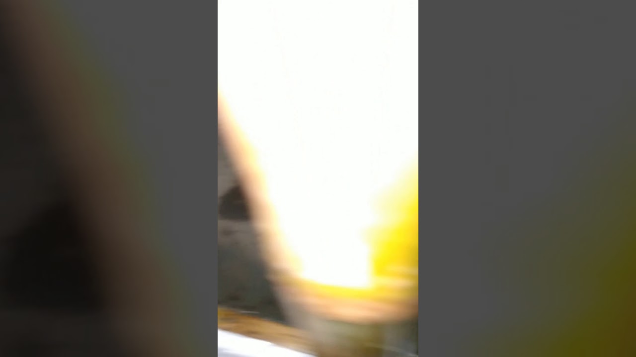 Cara budidaya cacing sutra 