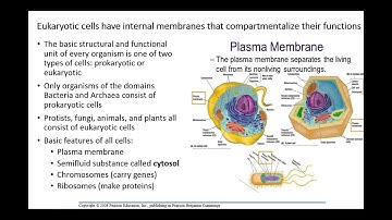 BIO 101 Chapter 6 part 1