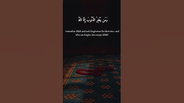 "ومن يغفر الذنوب إلا الله" | باب الأمل في آية من سورة آل عمران بصوت الشيخ #المنشاوي