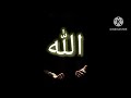 حضرة وردوا على نهر الحياة وكلهم شربوا