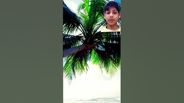 القارئ احمد العجمي / سورة الطارق