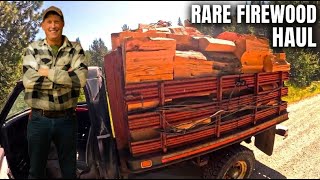 Mountain Firewood (A Tree You Don’t See Twice)