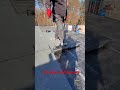 Напайка рубероида #строительсводома #кровельщик #dach #кровлярубероидом #roofing #dekarz #рубероид