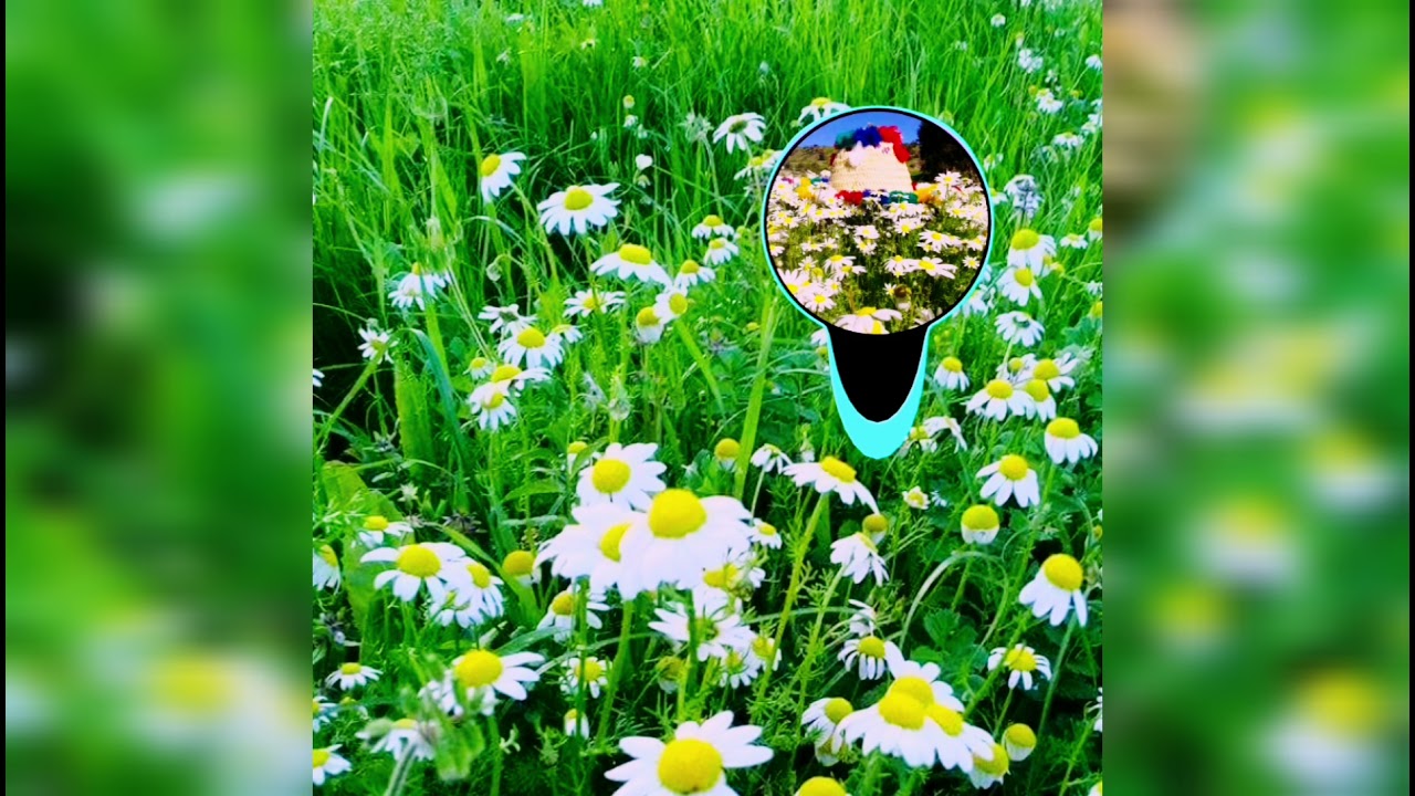 الفنان بوعلام الصنهاجي والفنانة بهيجة 