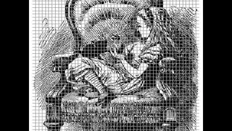 Renormalization: QED to Plasma Physics