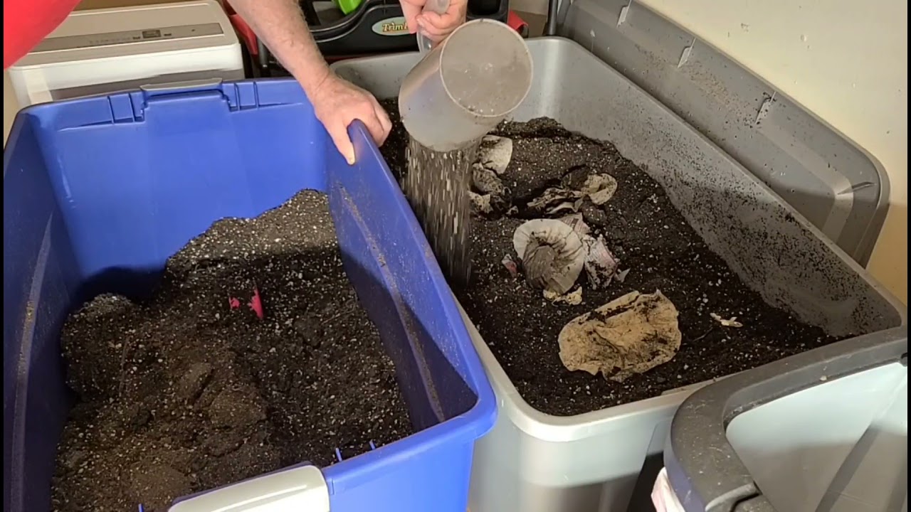 Что я делаю со своей использованной почвой Fox Farm Soil, обработанной Mars Hydro Amazon.