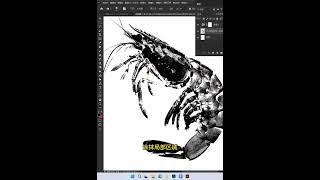PS图片变版画效果  #ps小技巧  #ps基础  #平面设计  #ps  #photoshop  #AI   #illustrator  #ps教程