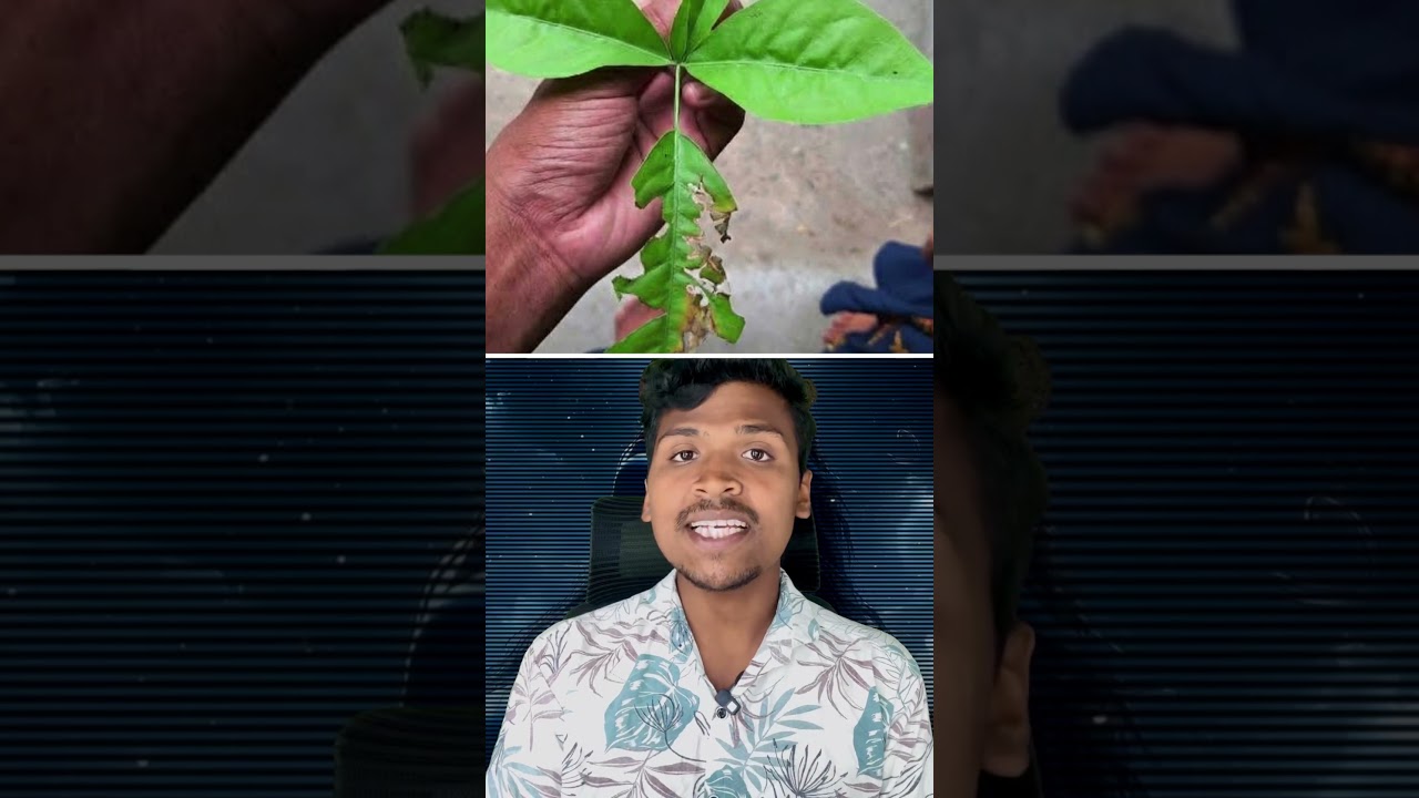 Avoiding Common Mistakes on Mahashivratri