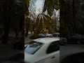 Осмоловка осенью — маршрут между фасадами и листвой#Минск #Осмоловка #осень #тишинавкадре #структу