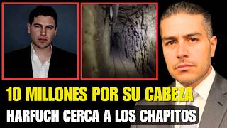 10 MILLONES POR IVÁN ARCHIVALDO: La cacería final de HARFUCH y el ICE en la Sierra