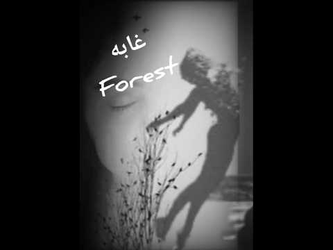 غابه نورالدين الطيار احمد مشعل       غابه 