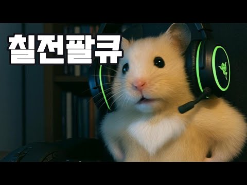 칠전팔큐